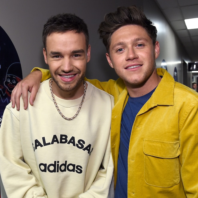 Liam Payne, Niall Horan